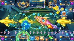 tkpk app